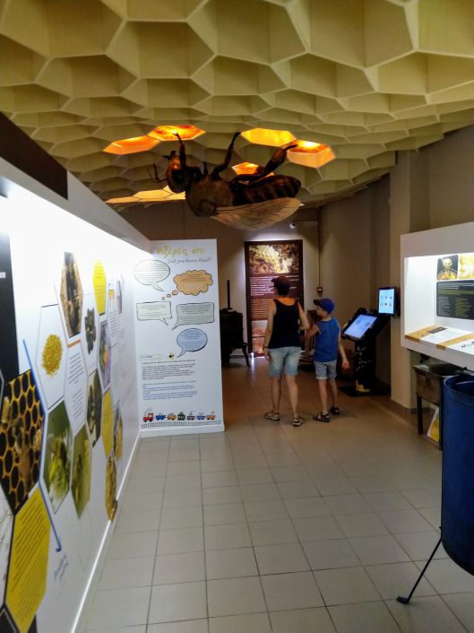 bee museum from inside