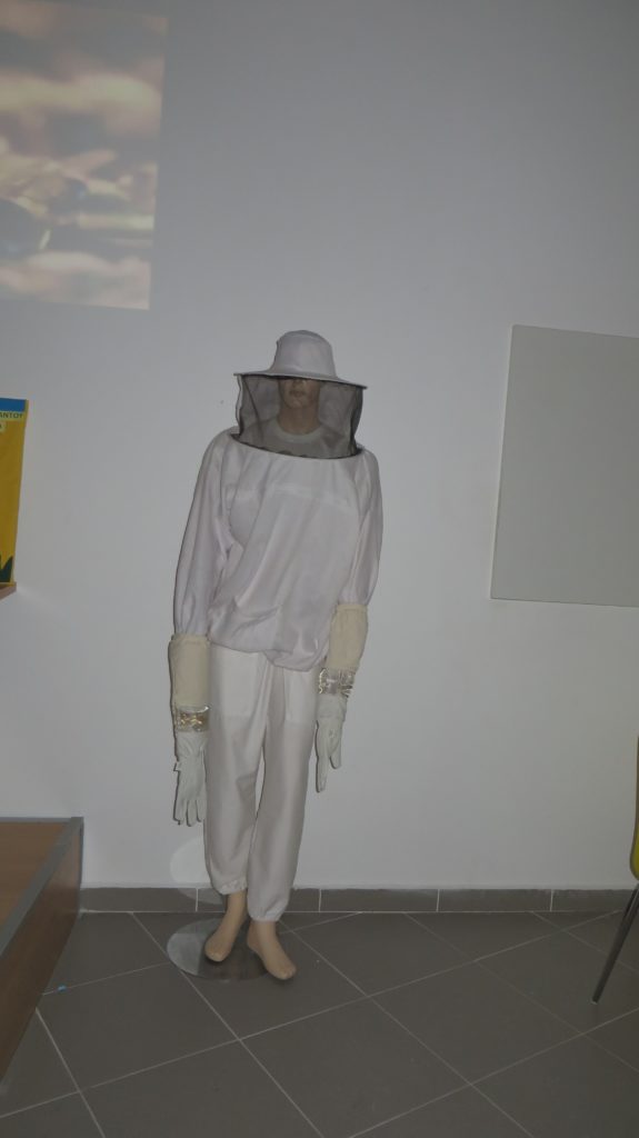 beekeeper suit