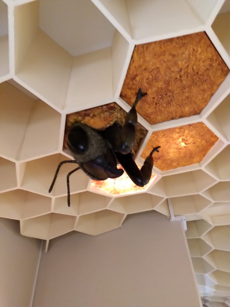 bee getting out of the ceiling