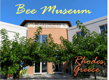 the amazing bee museum I found in Greece