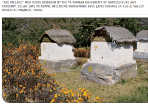 how to increase apple production and get apple honey