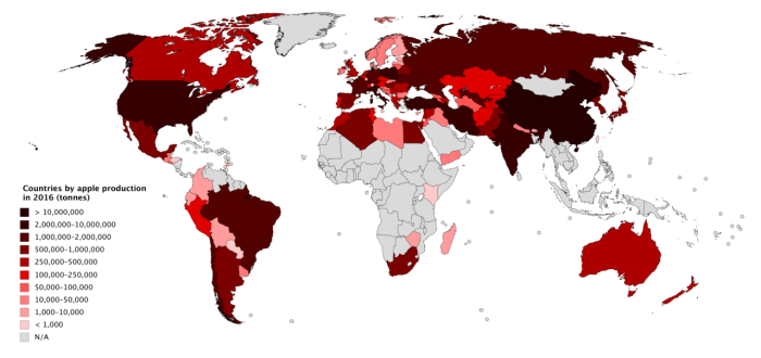 the biggest apple production