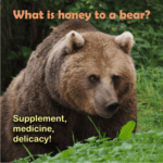 bears like honey and have preferences on its quality