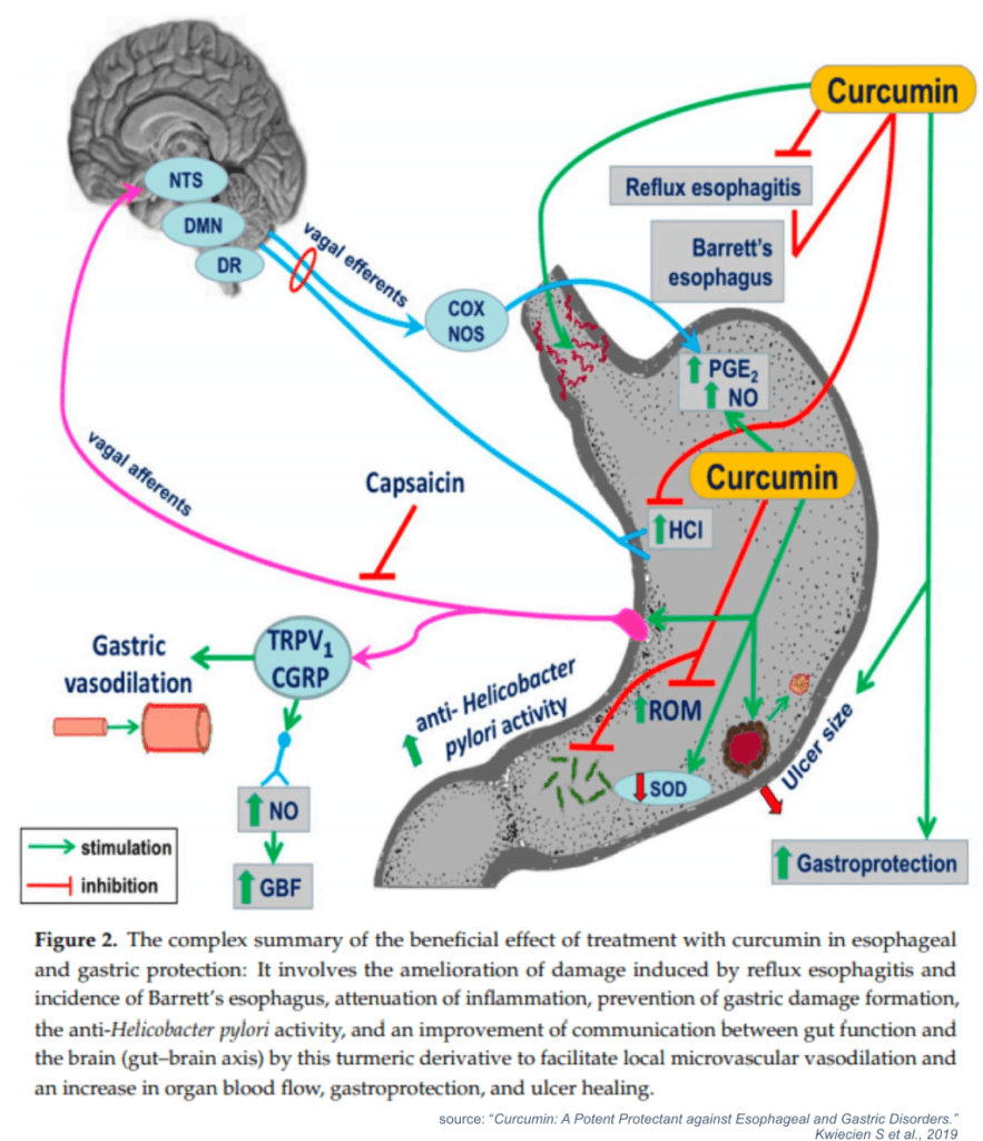 curcumin treats gerd and stomach issues