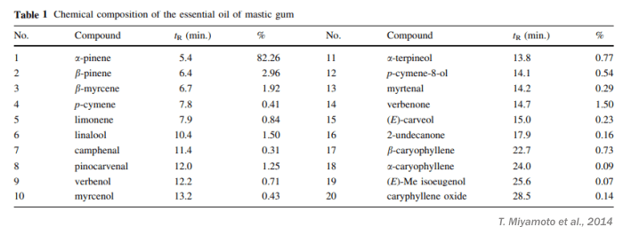 does mastic gum kill h pylori