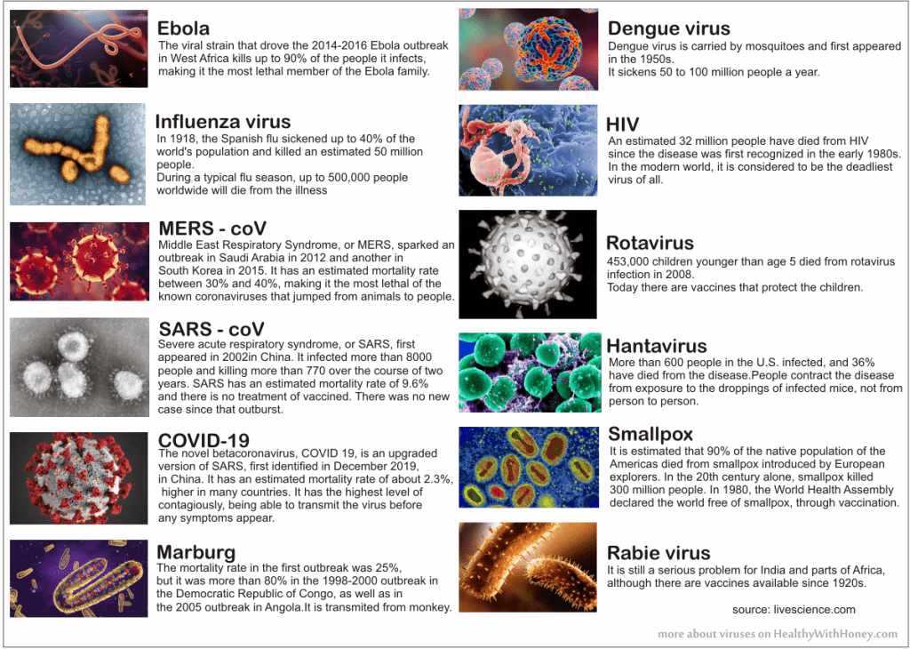 which are the worst viruses of the world