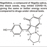 nigella sativa help prevent covid-19
