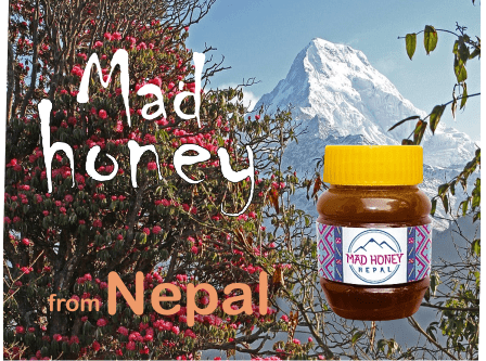 What is mad honey? Medicinal honey with recreational bonus!