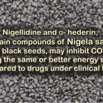 prevent covid