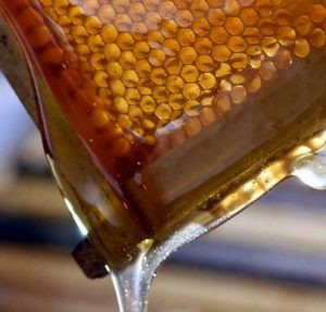 is evodia honey profitable? 