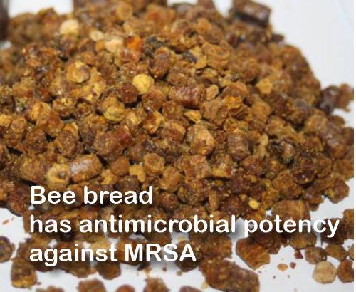 Bee Bread has antimicrobial potency against Staphylococcus aureus