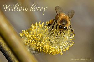 willow honey as functional honey