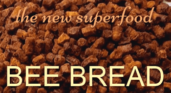 Beebread is the new best superfood