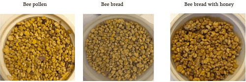 samples of bee pollen and bee bread