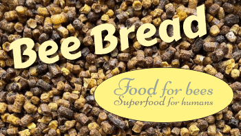 bee bread is food for bees and superfood for humans