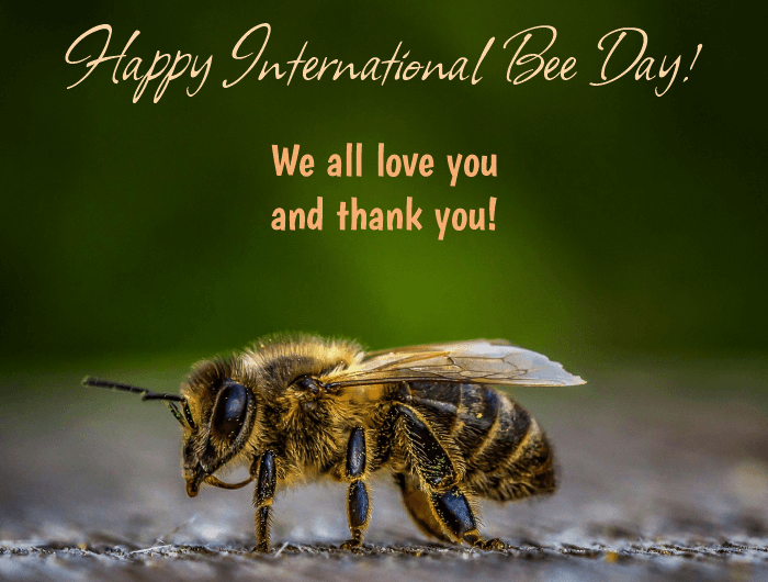 Why is the World Bee Day celebrated on May 20?