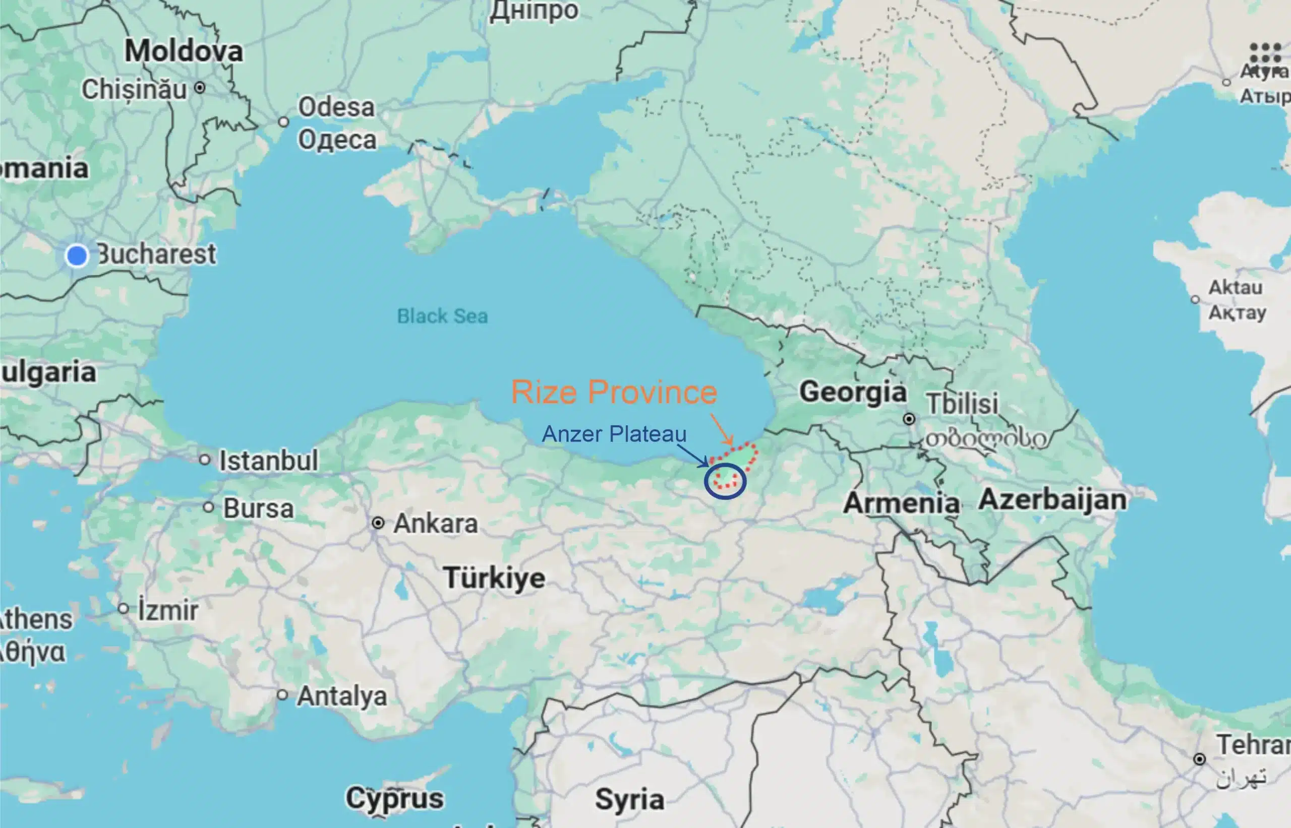 Where is Anzer honey harvested from?